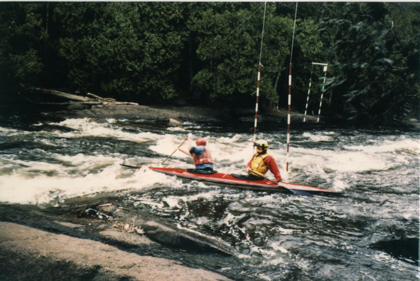 Marge and Rich running a Wolf Slalom Course. 